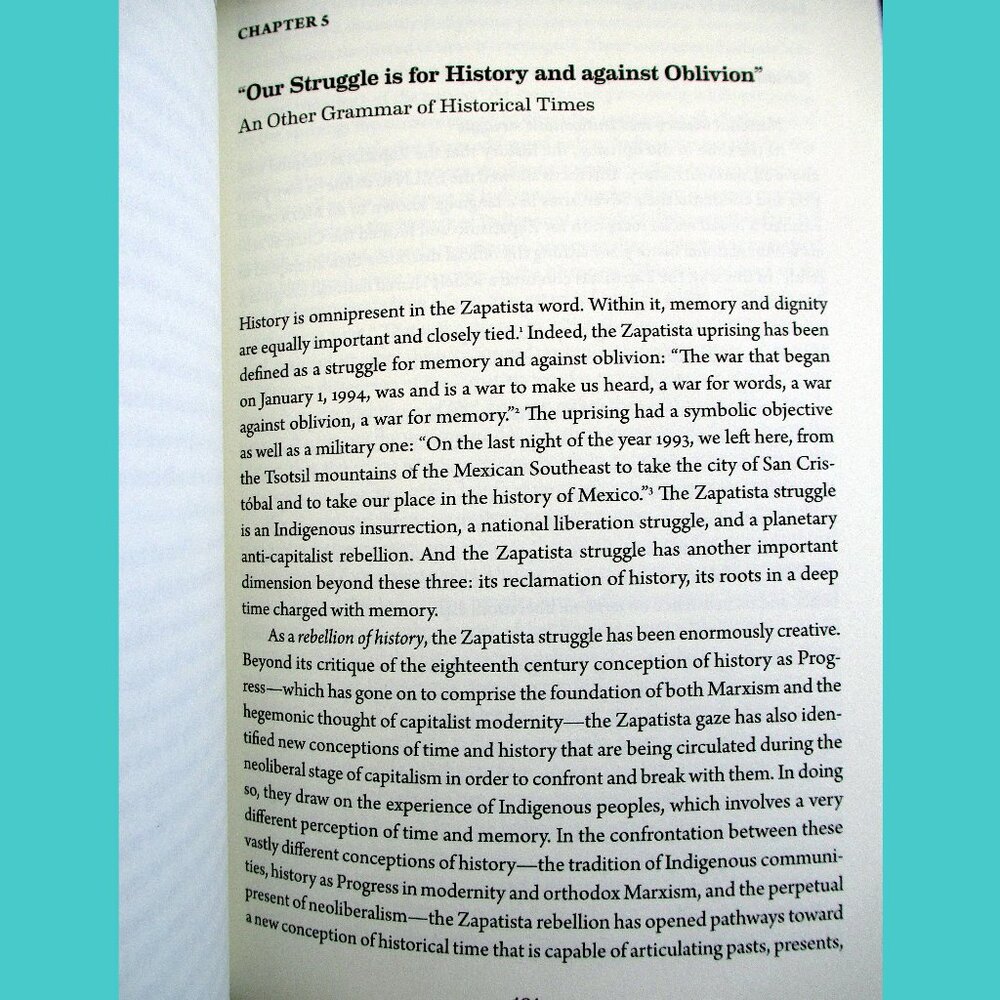 Book -  The Zapatista Experience: Rebellion, Resistance, and Autonomy - Picture 11 of 13